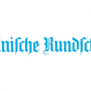 Politikberater Stefan Mannes im Interview mit der Kölnischen Rundschau zur Europawahl: Was nun, Herr Steinmeier?