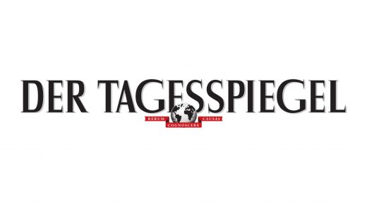 Zur Parteienwerbung der Europawahl befragte der Berliner Tagesspiegel Politikberater Stefan Mannes. Wie gut ist die Kommunikation?